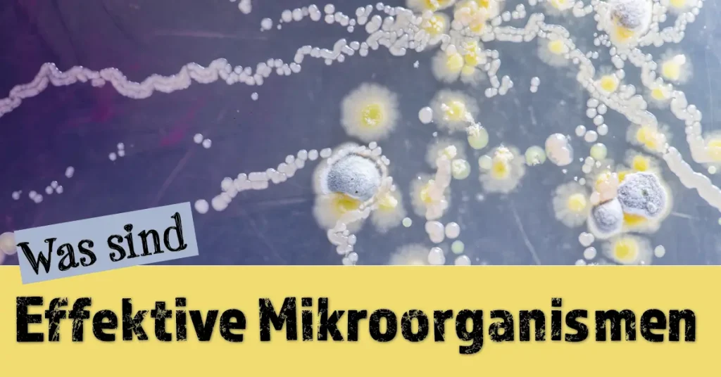 Was sind Effektive Mikroorganismen